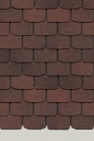 slate_slanec_korichnevyy