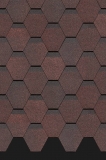 sheffild_biskvit